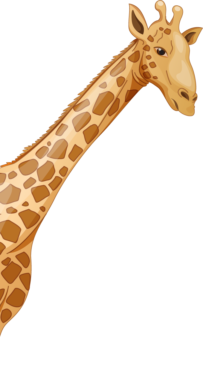 giraffe